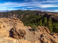 Mirador Roque Nublo